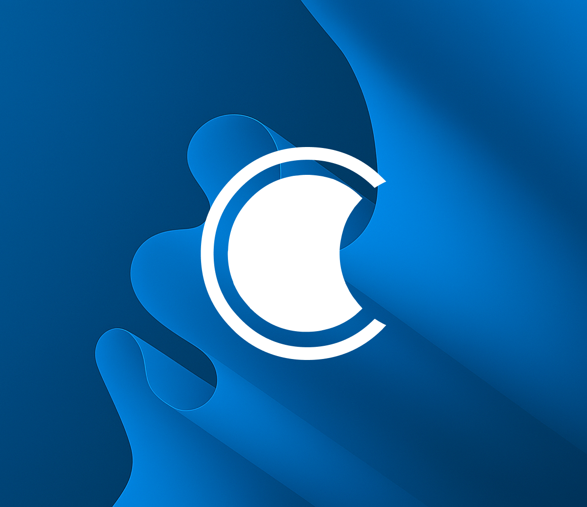 ChPP Self-Assessment Tool