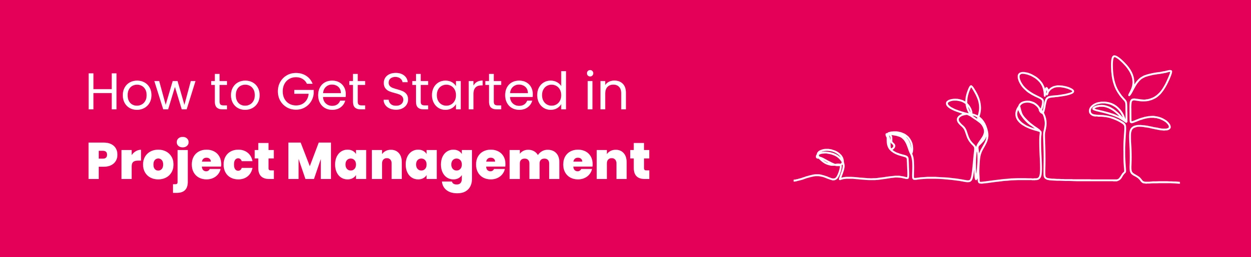 Getting started in project management