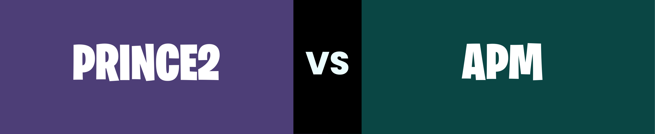 alt="PRINCE2 vs APM PMQ - Lead APM Trainer Callum Downing"