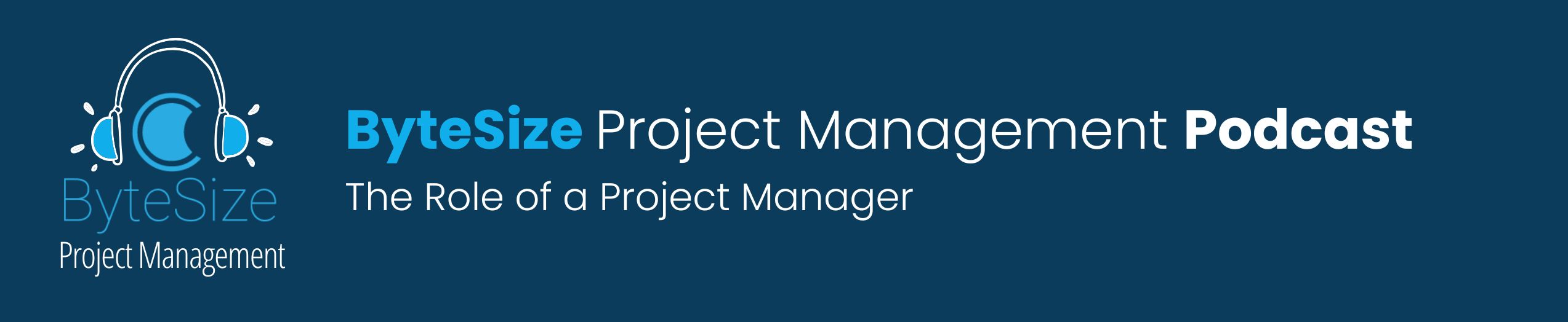 The Role of a Project Manager