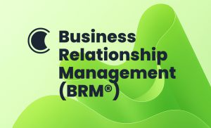 Business Relationship Management Professional (BRMP®) Course