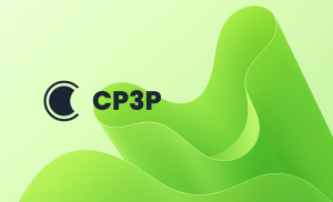 Certified PPP Professional (CP3P) Level 3 Execution Course