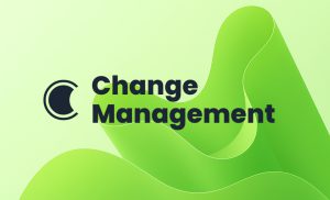 Change Management Practitioner