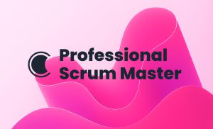 Professional Scrum Master Level 1 (PSM 1)
